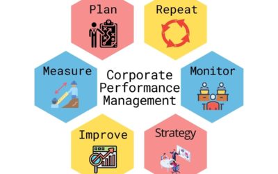 Contrôle de gestion et performance d’une entreprise